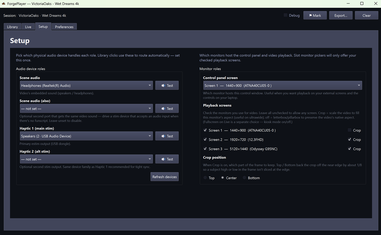 ForgePlayer Setup tab — audio device roles and monitors